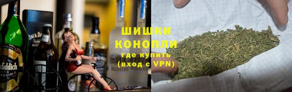 бошки Новозыбков