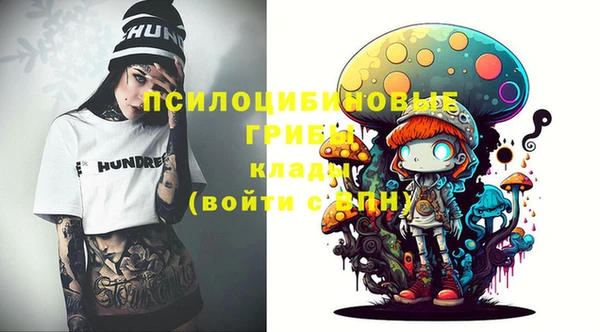 меф Новодвинск