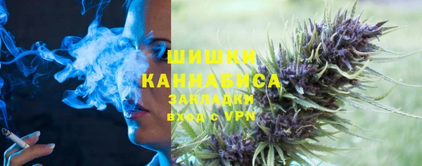 бошки Новозыбков