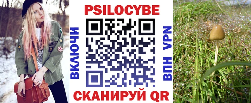 площадка как зайти  Рыльск  Псилоцибиновые грибы мухоморы 